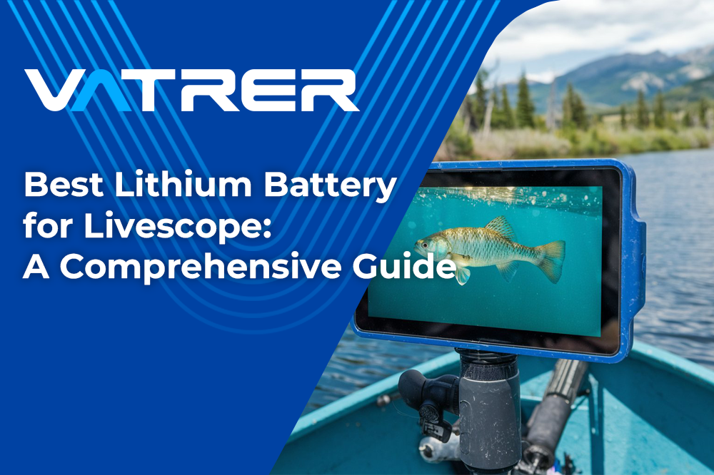 Best Lithium Battery for Livescope: A Comprehensive Guide 4